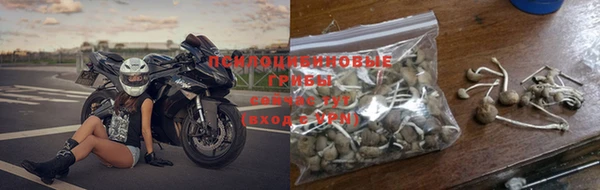 ешки Дмитровск