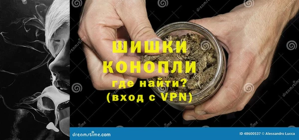ешки Дмитровск